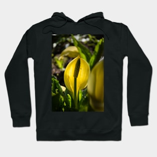 Skunk cabbage Hoodie